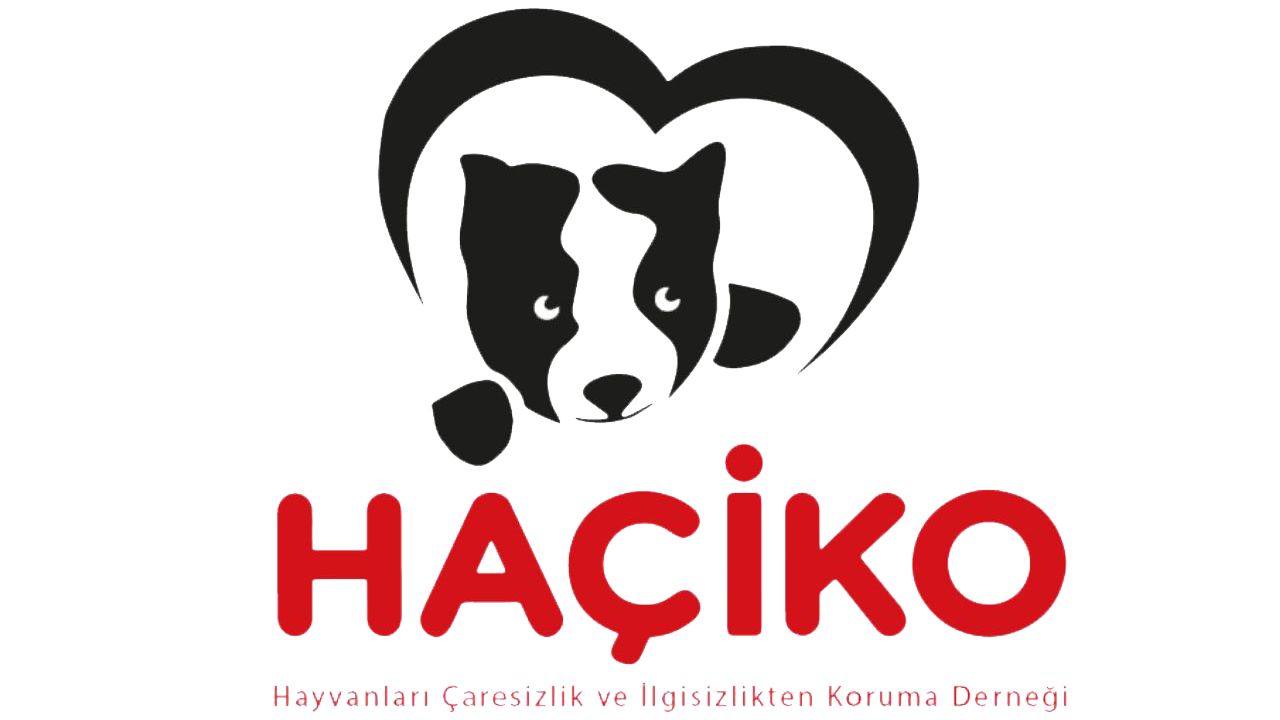 HAYVANLARI ÇARESİZLİK VE İLGİSİZLİKTEN KORUMA DERNEĞİ